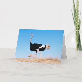 Keep Running Ostrich Card
