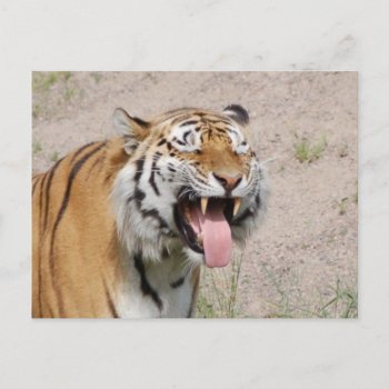 Keep Smiling Postcard by pulsDesign at Zazzle