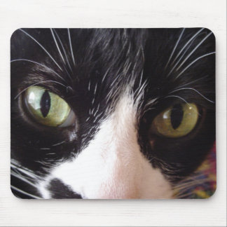 Keep Your Cat Eyes On The Mouse! Mouse Pad
