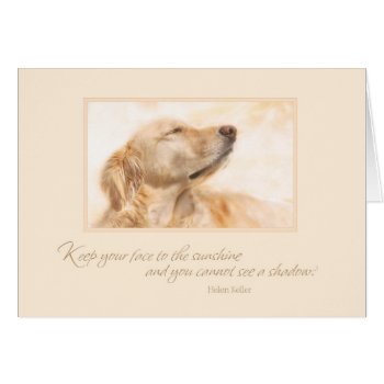 Keep Your Face To The Sunshine by Smilesink at Zazzle