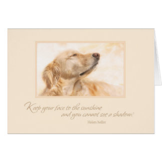 Keep Your Face to the Sunshine Cards