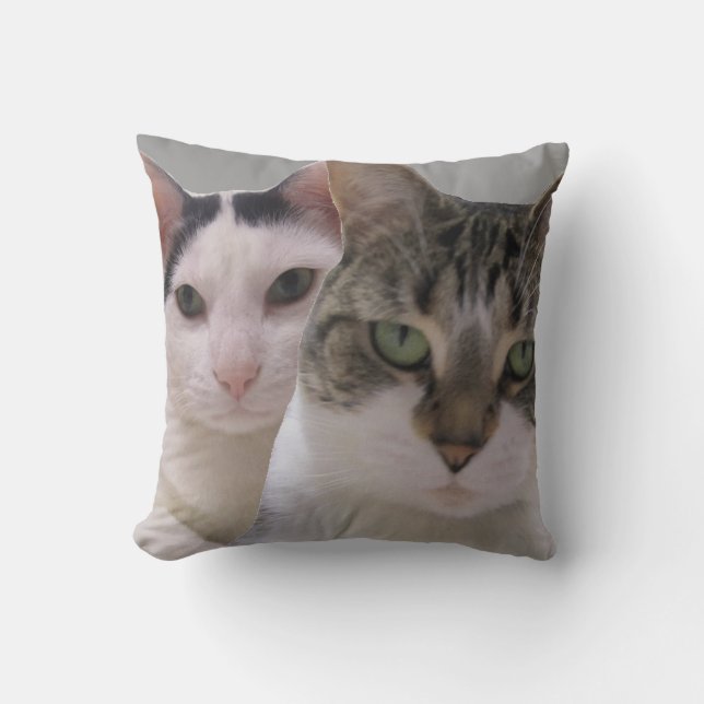 Keep Your Friends Close and Enemies Closer Cats Throw Pillow (Front)
