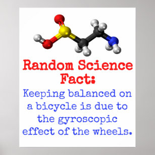 Keeping Balanced On A Bicycle - Science Fact Poster