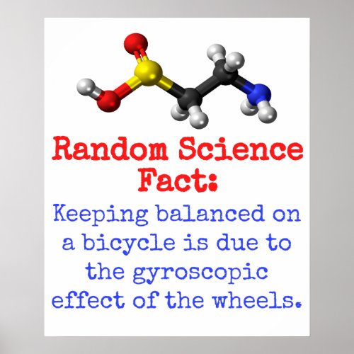 Keeping Balanced On A Bicycle _ Science Fact Poster