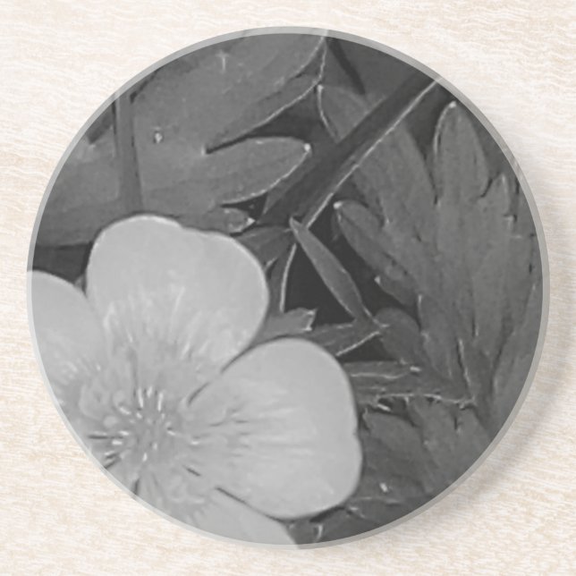 Keepitclean Coaster (Front)