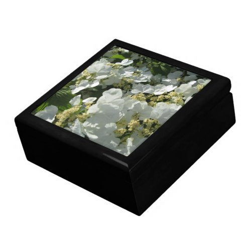 Keepsake Box _ Doublefile Viburnum I