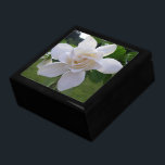 Keepsake Box - Naturally Gorgeous Gardenia<br><div class="desc">Cropped from the center of the original photograph, this stunning bloom was only one of several simply perfect flowers on the gardenia my maternal grandmother planted more than forty years ago. The stem was cut from the plant prior to photographing so that the blossom would be clear, front and center....</div>