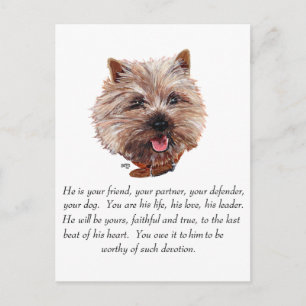 Keepsake Cairn Terrier - Male Postcard