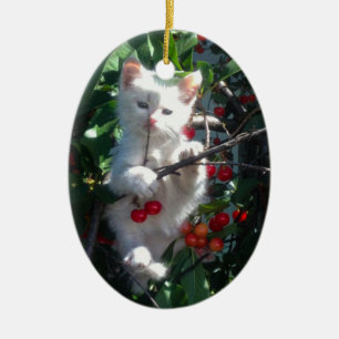 Keepsake Family Cat 2 Sided Photo Ceramic Ornament