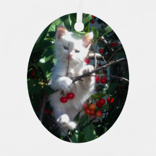 Keepsake Family Cat Photo Metal Ornament