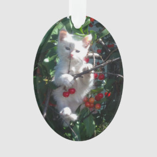 Keepsake Family Cat Photo Ornament