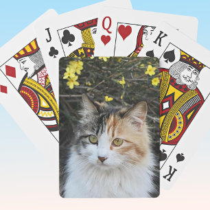 Keepsake Full Photo Excellent Quality Kitty Poker Cards