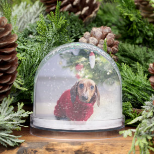 Keepsake Your Pet Dog Photo Sentimental Christmas  Snow Globe