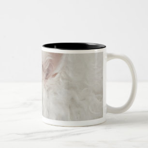 Keeshond (10 years old) close-up Two-Tone coffee mug
