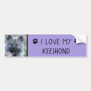 Keeshond and Columbine - Dog Photograph Bumper Sticker