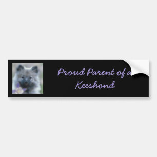 Keeshond and Columbine - Dog Photograph Bumper Sticker