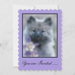 Keeshond and Columbine  - Dog Photograph Invitation