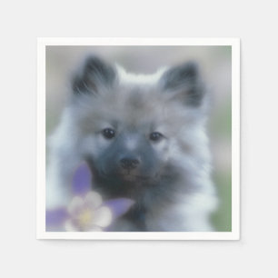 Keeshond and Columbine - Dog Photograph Napkins