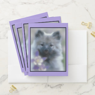 Keeshond and Columbine - Dog Photograph Pocket Folder