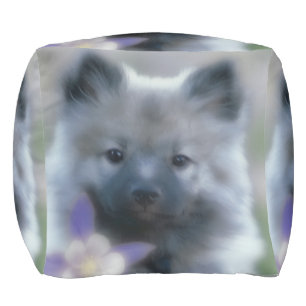 Keeshond and Columbine  - Dog Photograph Pouf