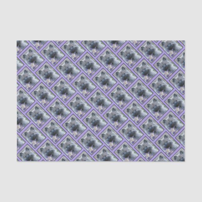 Keeshond and Columbine  - Dog Photograph Tissue Paper (Front)
