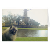 Keeshond and Windmill (Front Horizontal)