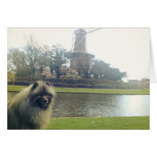 Keeshond and Windmill Cards
