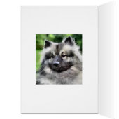 Keeshond Art Gifts (Inside (Left))