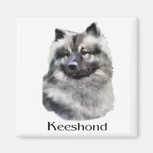 Keeshond Art Gifts Magnet