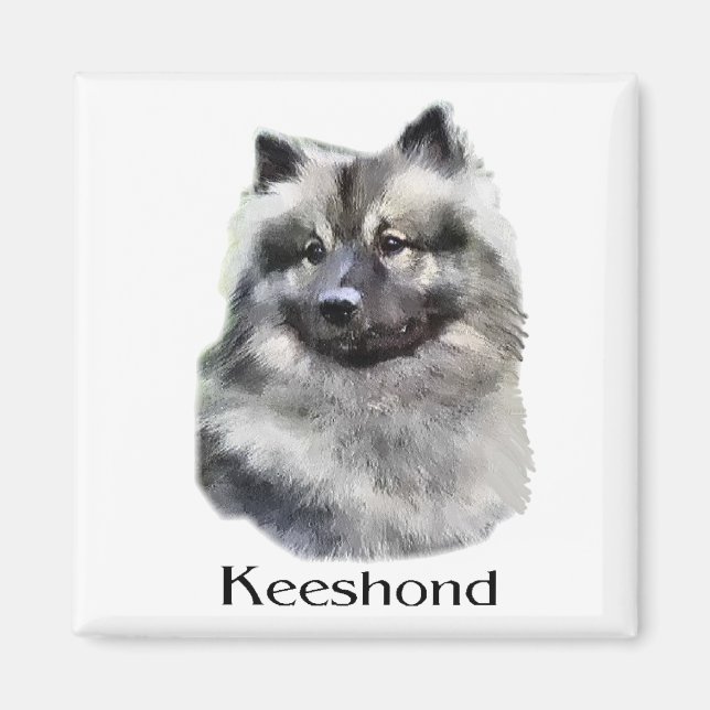 Keeshond Art Gifts Magnet (Front)