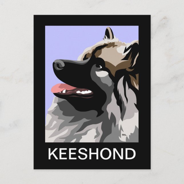 Keeshond Art Postcard (Front)