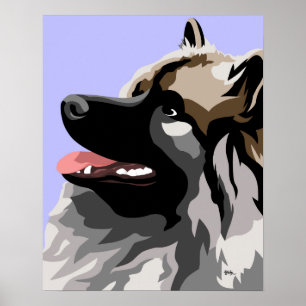 Keeshond Art Poster