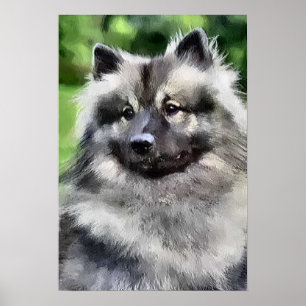Keeshond Art Print