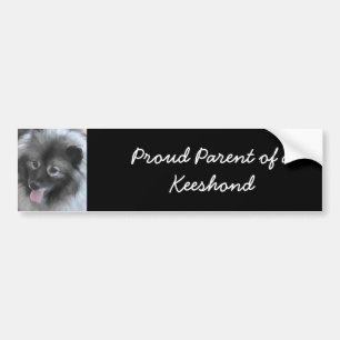 Keeshond Bailey Painting - Cute Original Dog Art Bumper Sticker
