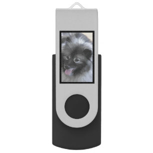 Keeshond Bailey Painting - Cute Original Dog Art Flash Drive