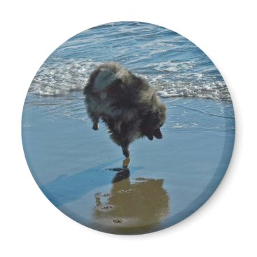 Keeshond Ballet Magnet Keeshond Ballet Magnet
