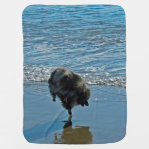 Keeshond Ballet Photograph - Cute Original Dog Art Baby Blanket