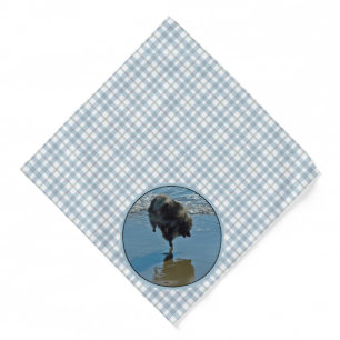 Keeshond Ballet Photograph Cute Original Dog Art Bandana