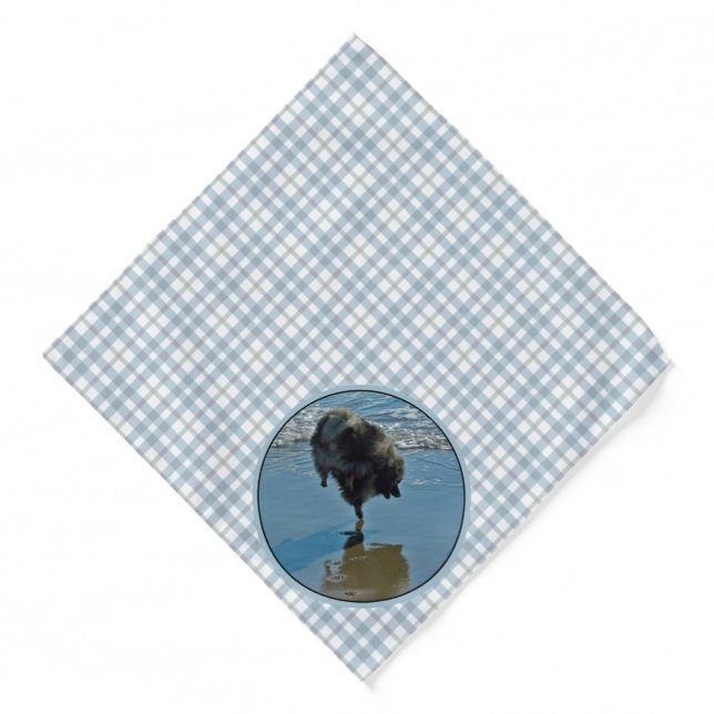 Keeshond Ballet Photograph Cute Original Dog Art Bandana (Front)