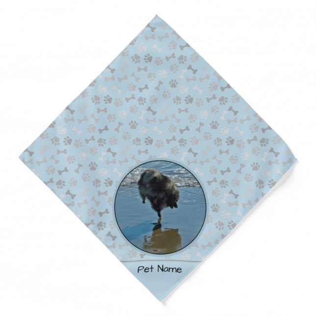 Keeshond Ballet Photograph Cute Original Dog Art Bandana (Front)