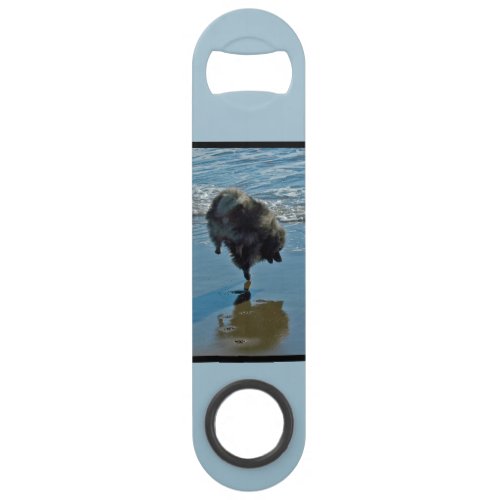 Keeshond Ballet Photograph _ Cute Original Dog Art Bar Key