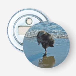 Keeshond Ballet Photograph - Cute Original Dog Art Bottle Opener