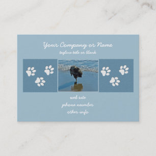 Keeshond Ballet Photograph - Cute Original Dog Art Business Card