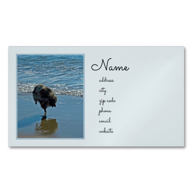 Keeshond Ballet Photograph - Cute Original Dog Art Business Card Magnet (Front)