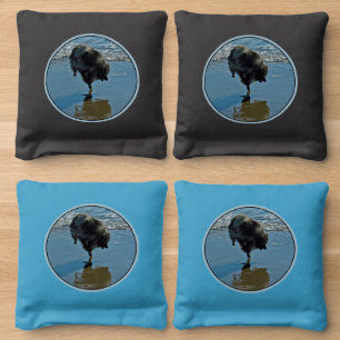 Keeshond Ballet Photograph - Cute Original Dog Art Cornhole Bags