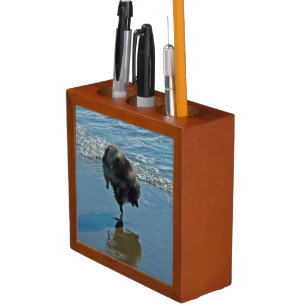 Keeshond Ballet Photograph - Cute Original Dog Art Desk Organizer