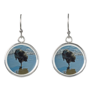 Keeshond Ballet Photograph - Cute Original Dog Art Earrings