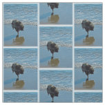 Keeshond Ballet Photograph - Cute Original Dog Art Fabric