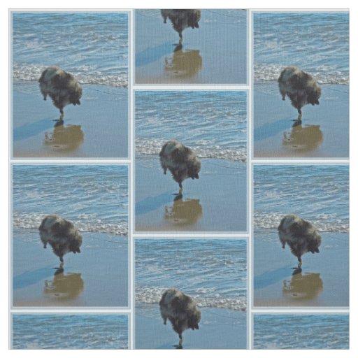 Keeshond Ballet Photograph - Cute Original Dog Art Fabric