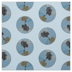 Keeshond Ballet Photograph Cute Original Dog Art Fabric